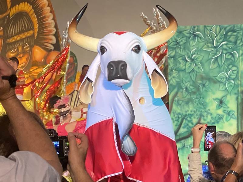 Ausflug Boi Bumba Folk Show