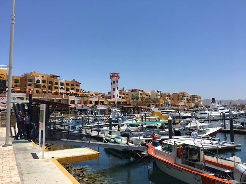 Hafen Cabo San Lucas