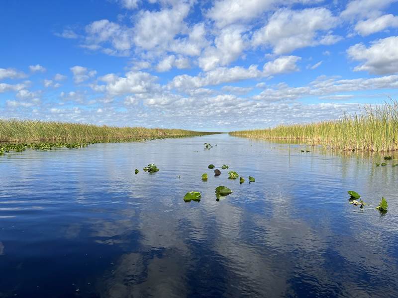 Ausflug Fahrt durch die Everglades