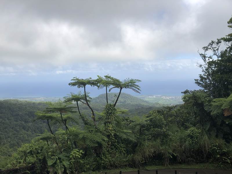 Hafen Pointe-a-Pitre